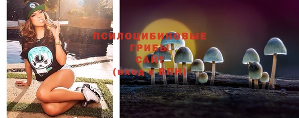 эйфоретик Нефтекумск