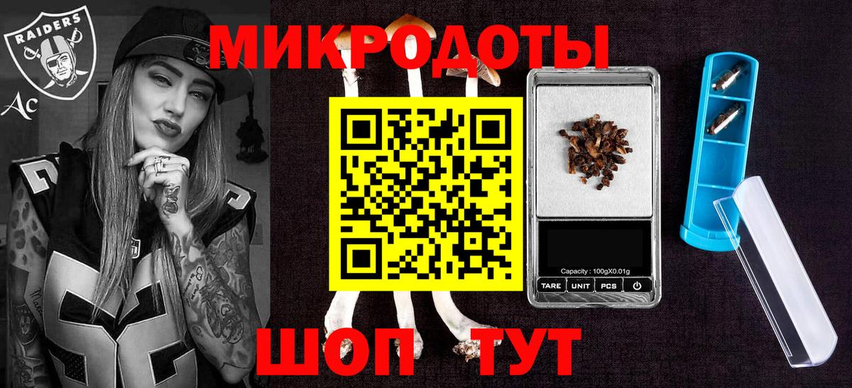 наркота  Вход с VPN  Сальск  Псилоцибиновые грибы GOLDEN TEACHER 