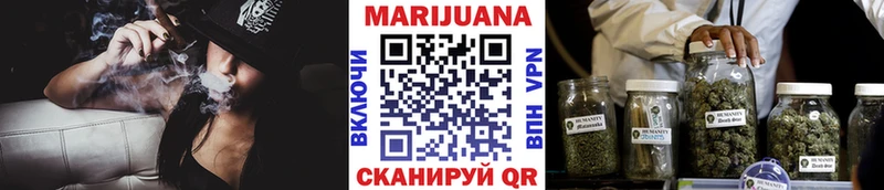 Бошки марихуана THC 21%  Сальск 